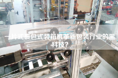 一片式裹包式裝箱機革新包裝行業的黑科技？