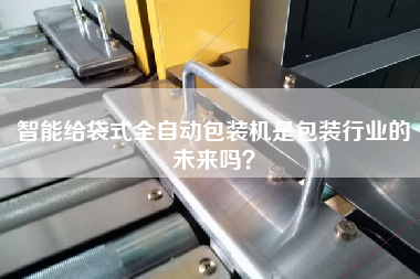 智能給袋式全自動包裝機是包裝行業的未來嗎？