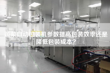 蔬菜自動包裝機參數提高包裝效率還是降低包裝成本？