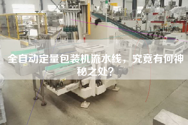 全自動定量包裝機流水線，究竟有何神秘之處？