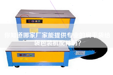你知道哪家廠家能提供專業的扁平袋給袋包裝機配件嗎？