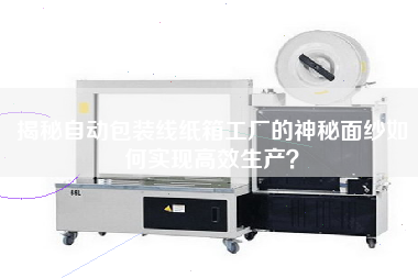 揭秘自動包裝線紙箱工廠的神秘面紗如何實現高效生產？