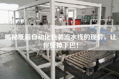 揭秘紙箱自動化包裝流水線的現價，讓你驚掉下巴！