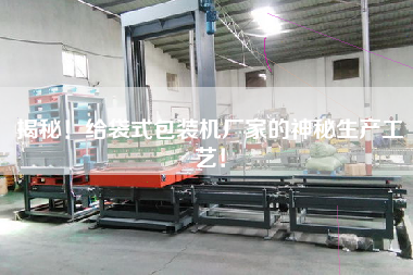 揭秘！給袋式包裝機(jī)廠家的神秘生產(chǎn)工藝！