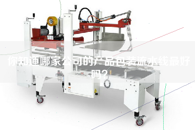 你知道哪家公司的產品包裝流水線最好嗎？