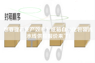想要提高生產(chǎn)效率紙箱自動化包裝流水線供應(yīng)報價來了！