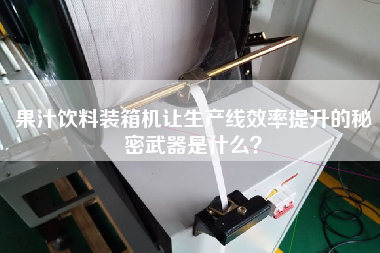 果汁飲料裝箱機(jī)讓生產(chǎn)線效率提升的秘密武器是什么