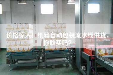 價格驚人！紙箱自動包裝流水線供貨，你敢買嗎
