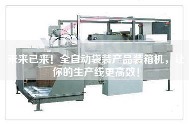未來(lái)已來(lái)！全自動(dòng)袋裝產(chǎn)品裝箱機(jī)，讓你的生產(chǎn)線更高效！