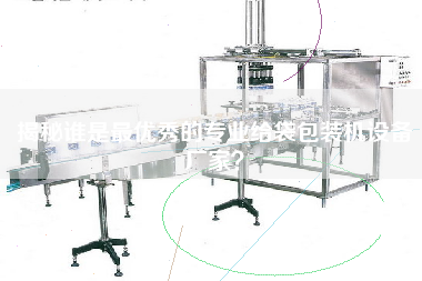 揭秘誰是最優秀的專業給袋包裝機設備廠家