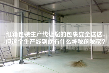 紙箱包裝生產線讓您的包裹安全送達，但這個生產線到底有什么神秘的秘密