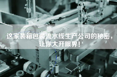 這家裝箱包裝流水線生產公司的秘密，讓你大開眼界！