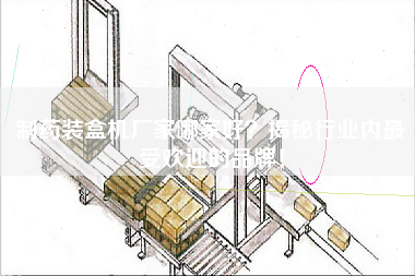制藥裝盒機廠家哪家好揭秘行業內最受歡迎的品牌！