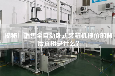 揭秘！銷售全自動臥式裝箱機報價的背后真相是什么？