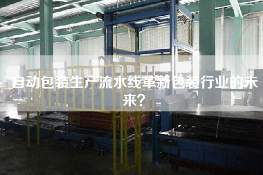 自動包裝生產流水線革新包裝行業的未來？