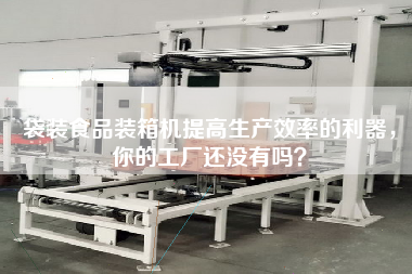 袋裝食品裝箱機提高生產(chǎn)效率的利器，你的工廠還沒有嗎