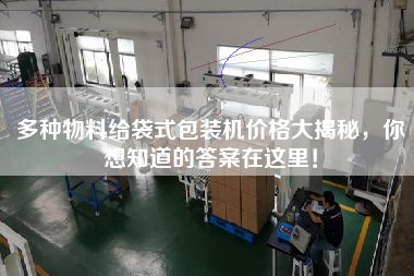 多種物料給袋式包裝機價格大揭秘，你想知道的答案在這里！