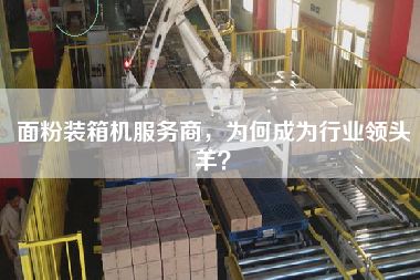 面粉裝箱機服務商，為何成為行業領頭羊？