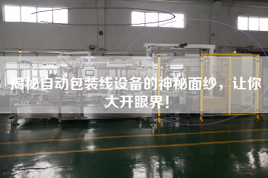 揭秘自動包裝線設備的神秘面紗，讓你大開眼界！