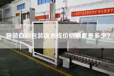袋裝自動包裝流水線價格到底是多少