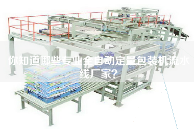 你知道哪些專業全自動定量包裝機流水線廠家？