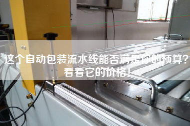 這個(gè)自動(dòng)包裝流水線(xiàn)能否滿(mǎn)足你的預(yù)算？看看它的價(jià)格！