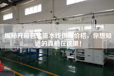 揭秘開箱包裝流水線供應價格，你想知道的真相在這里！