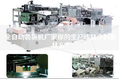 全自動裝袋機廠家你的生產線缺少的是什么