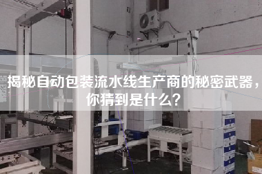 揭秘自動包裝流水線生產(chǎn)商的秘密武器，你猜到是什么？