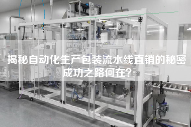揭秘自動化生產包裝流水線直銷的秘密成功之路何在？