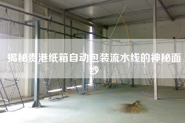 揭秘貴港紙箱自動包裝流水線的神秘面紗