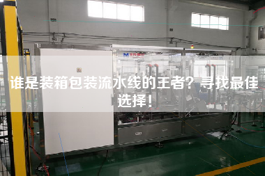 誰是裝箱包裝流水線的王者尋找最佳選擇！