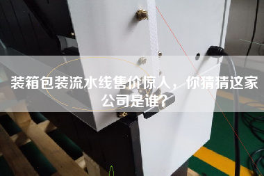 裝箱包裝流水線售價驚人，你猜猜這家公司是誰