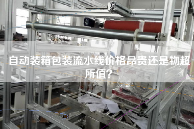 自動裝箱包裝流水線價格昂貴還是物超所值？