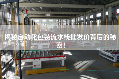 揭秘自動化包裝流水線批發價背后的秘密！