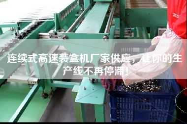 連續式高速裝盒機廠家供應，讓你的生產線不再停滯！