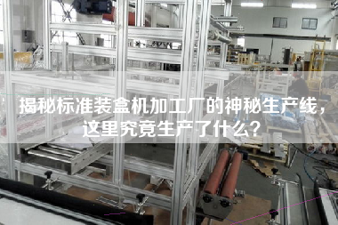 揭秘標(biāo)準(zhǔn)裝盒機(jī)加工廠的神秘生產(chǎn)線，這里究竟生產(chǎn)了什么？
