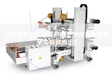 全自動包裝流水線廠商，如何在市場競爭中脫穎而出