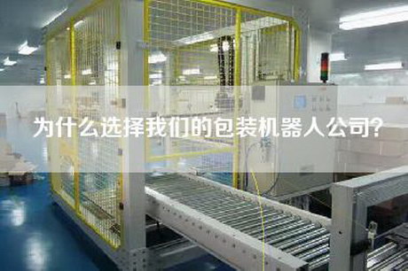為什么選擇我們的包裝機器人公司？