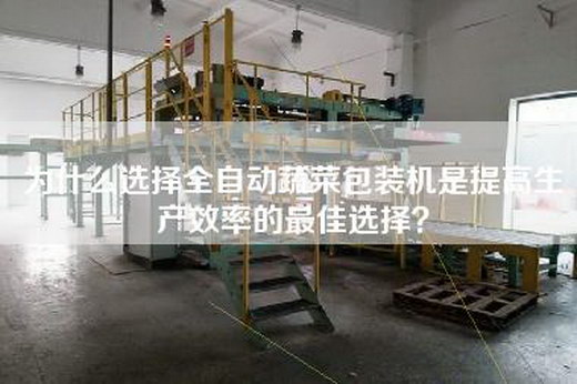 為什么選擇全自動蔬菜包裝機是提高生產效率的最佳選擇？