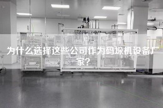 為什么選擇這些公司作為碼垛機設備廠家？