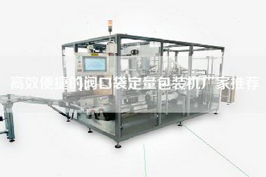 高效便捷的閥口袋定量包裝機廠家推薦