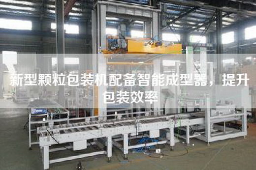 新型顆粒包裝機配備智能成型器，提升包裝效率