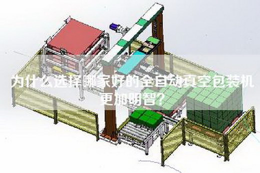 為什么選擇哪家好的全自動真空包裝機更加明智？
