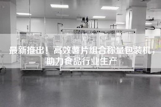 最新推出！高效薯片組合稱量包裝機，助力食品行業生產
