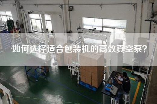 如何選擇適合包裝機(jī)的高效真空泵？