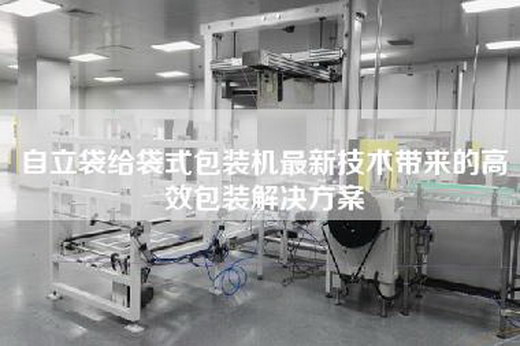 自立袋給袋式包裝機(jī)最新技術(shù)帶來的高效包裝解決方案