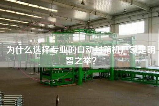 為什么選擇專業(yè)的自動(dòng)封箱機(jī)廠家是明智之舉？