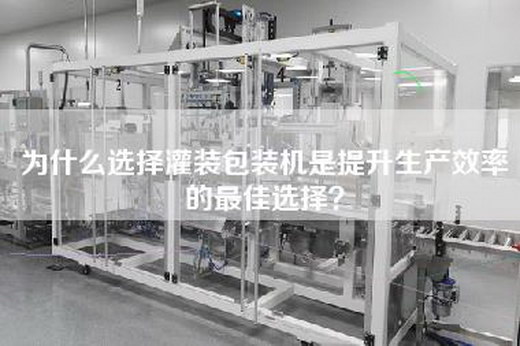 為什么選擇灌裝包裝機是提升生產(chǎn)效率的最佳選擇？