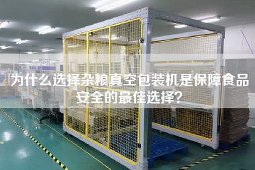 為什么選擇雜糧真空包裝機是保障食品安全的最佳選擇？